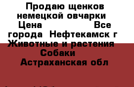 Продаю щенков немецкой овчарки › Цена ­ 5000-6000 - Все города, Нефтекамск г. Животные и растения » Собаки   . Астраханская обл.